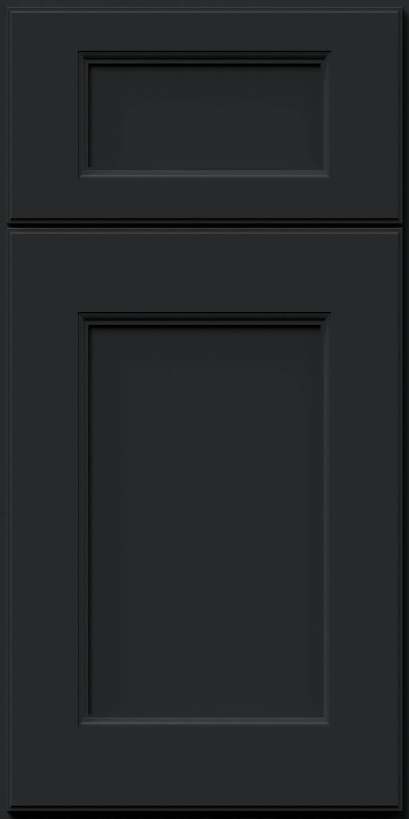 Quick Ship Deco Fusion cabinet door by Hart & Sapp in Pitch Black finish
