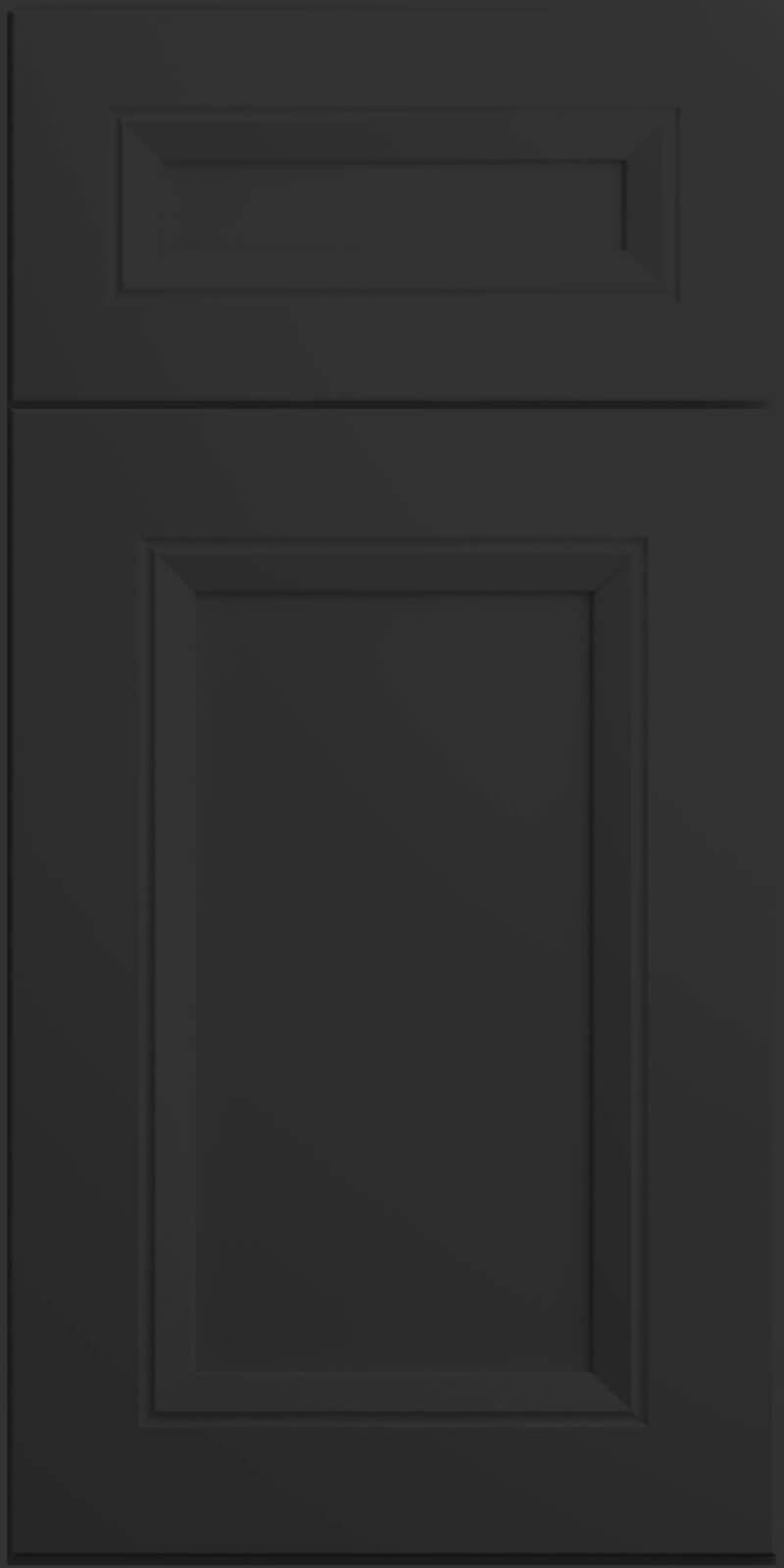 Quick Ship Deco Richmond cabinet door by Hart & Sapp in Black finish