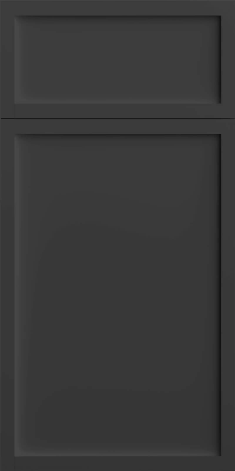 Quick Ship Thin Frame Newport cabinet door by Hart & Sapp in Cracked Pepper finish