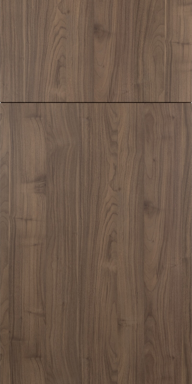 Quick Ship Flat Slab Catalina cabinet door by Hart & Sapp in Nocce 3 finish